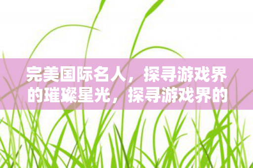 完美国际名人，探寻游戏界的璀璨星光，探寻游戏界的璀璨星光，完美国际名人