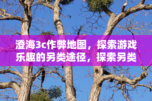 澄海3c作弊地图，探索游戏乐趣的另类途径，探索另类乐趣，澄海3c作弊地图揭秘