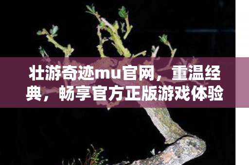 壮游奇迹mu官网，重温经典，畅享官方正版游戏体验，壮游奇迹mu官网，重温经典，畅享官方正版游戏体验