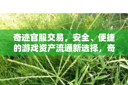 奇迹官服交易,安全、便捷的游戏资产流通新选择,奇迹官服交易,安全便捷,游戏资产流通新选择 奇迹官服交易,安全、便捷的游戏资产流通新选择,奇迹官服交易,安全便捷,游戏资产流通新选择