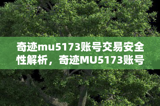 奇迹mu5173账号交易安全性解析,奇迹MU5173账号交易安全性解析 奇迹mu5173账号交易安全性解析,奇迹MU5173账号交易安全性解析