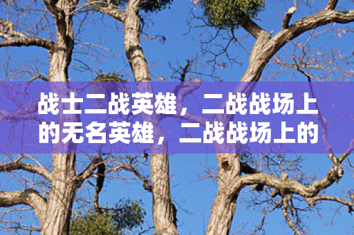 战士二战英雄,二战战场上的无名英雄,二战战场上的无名英雄,战士二战英雄 战士二战英雄,二战战场上的无名英雄,二战战场上的无名英雄,战士二战英雄