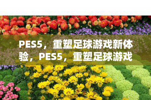 PES5，重塑足球游戏新体验，PES5，重塑足球游戏新体验
