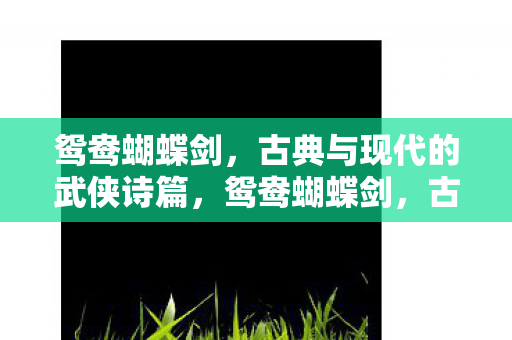 鸳鸯蝴蝶剑,古典与现代的武侠诗篇,鸳鸯蝴蝶剑,古典与现代的武侠诗篇 鸳鸯蝴蝶剑,古典与现代的武侠诗篇,鸳鸯蝴蝶剑,古典与现代的武侠诗篇