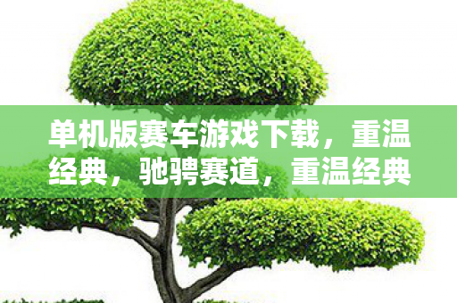单机版赛车游戏下载,重温经典,驰骋赛道,重温经典单机版赛车游戏,驰骋赛道 单机版赛车游戏下载,重温经典,驰骋赛道,重温经典单机版赛车游戏,驰骋赛道
