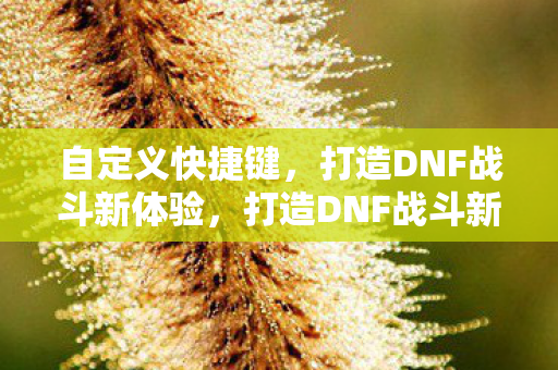 自定义快捷键,打造DNF战斗新体验,打造DNF战斗新体验,自定义快捷键来袭 自定义快捷键,打造DNF战斗新体验,打造DNF战斗新体验,自定义快捷键来袭