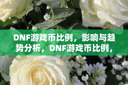 DNF游戏币比例图片