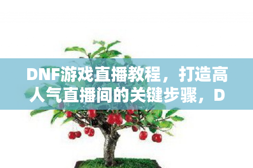 打造高人气直播间的关键步骤图片