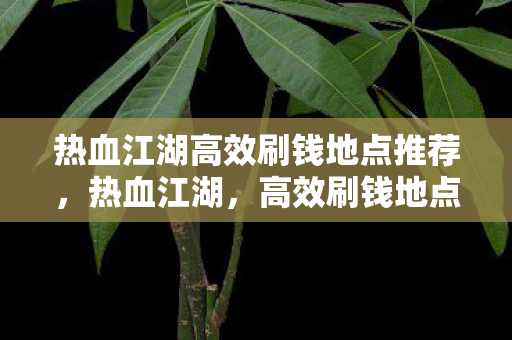 热血江湖高效刷钱地点推荐图片