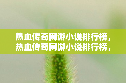 热血传奇网游小说排行榜,热血传奇网游小说排行榜,哪本是你的最爱? 热血传奇网游小说排行榜,热血传奇网游小说排行榜,哪本是你的最爱?