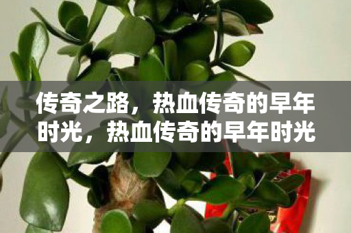 热血传奇的早年时光图片