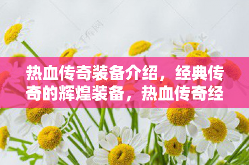 经典传奇的辉煌装备图片