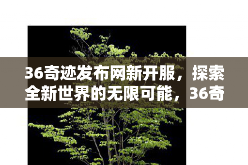 36奇迹发布网新开服，探索全新世界的无限可能，36奇迹发布网新开服，探索全新世界的无限可能