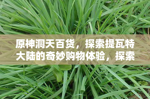 原神洞天百货,探索提瓦特大陆的奇妙购物体验,探索提瓦特大陆,原神洞天百货奇妙购物之旅 原神洞天百货,探索提瓦特大陆的奇妙购物体验,探索提瓦特大陆,原神洞天百货奇妙购物之旅