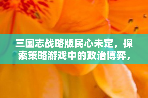 三国志战略版民心未定,探索策略游戏中的政治博弈,三国志战略版民心未定,探索策略游戏中的政治博弈 三国志战略版民心未定,探索策略游戏中的政治博弈,三国志战略版民心未定,探索策略游戏中的政治博弈