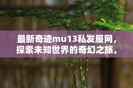 最新奇迹mu13私发服网，探索未知世界的奇幻之旅，探索奇迹mu13私发服网，奇幻之旅启程