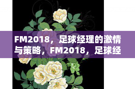FM2018,足球经理的激情与策略,FM2018,足球经理的激情与策略盛宴 FM2018,足球经理的激情与策略,FM2018,足球经理的激情与策略盛宴