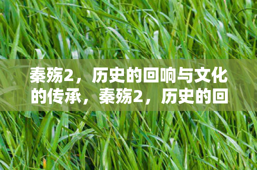 秦殇2,历史的回响与文化的传承,秦殇2,历史的回响与文化的传承 秦殇2,历史的回响与文化的传承,秦殇2,历史的回响与文化的传承