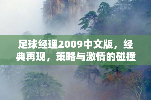 足球经理2009中文版,经典再现,策略与激情的碰撞,足球经理2009中文版,策略与激情的碰撞再现经典 足球经理2009中文版,经典再现,策略与激情的碰撞,足球经理2009中文版,策略与激情的碰撞再现经典
