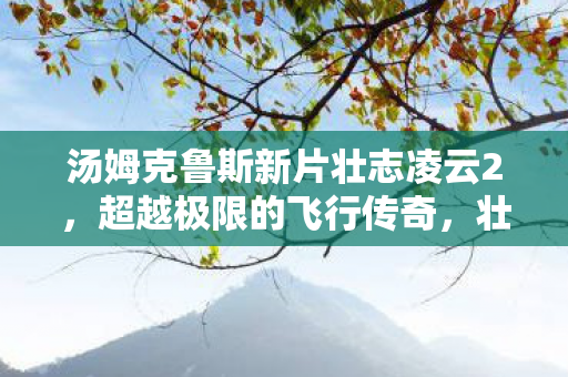 汤姆克鲁斯新片壮志凌云2,超越极限的飞行传奇,壮志凌云2,汤姆·克鲁斯再现极限飞行传奇 汤姆克鲁斯新片壮志凌云2,超越极限的飞行传奇,壮志凌云2,汤姆·克鲁斯再现极限飞行传奇