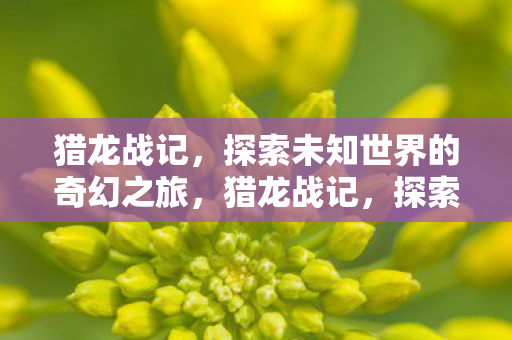 猎龙战记,探索未知世界的奇幻之旅,猎龙战记,探索未知世界的奇幻冒险之旅 猎龙战记,探索未知世界的奇幻之旅,猎龙战记,探索未知世界的奇幻冒险之旅