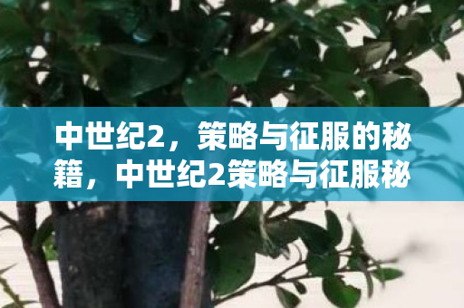 中世纪2，策略与征服的秘籍，中世纪2策略与征服秘籍，征服之路从这里开始