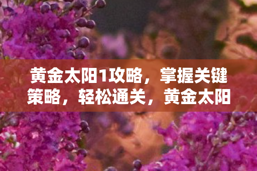 黄金太阳1攻略，掌握关键策略，轻松通关，黄金太阳1攻略，掌握关键策略，助你轻松通关