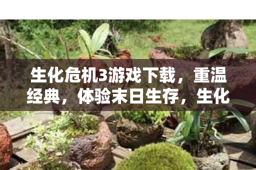 生化危机3游戏下载，重温经典，体验末日生存，生化危机3经典再现，末日生存挑战等你来体验！