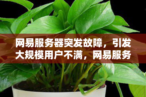 网易服务器突发故障,引发大规模用户不满,网易服务器故障引发用户不满 网易服务器突发故障,引发大规模用户不满,网易服务器故障引发用户不满