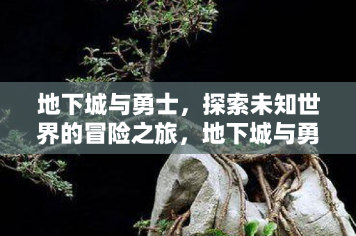 探索未知世界的冒险之旅图片