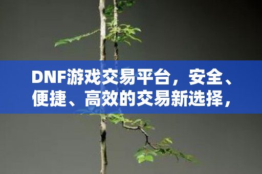 DNF游戏交易平台图片