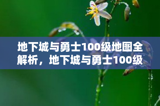 地下城与勇士100级地图全解析,地下城与勇士100级地图全解析,探索未知领域,挑战全新冒险 地下城与勇士100级地图全解析,地下城与勇士100级地图全解析,探索未知领域,挑战全新冒险
