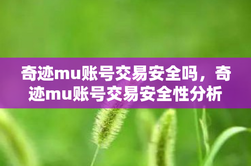 奇迹mu账号交易安全吗,奇迹mu账号交易安全性分析 奇迹mu账号交易安全吗,奇迹mu账号交易安全性分析