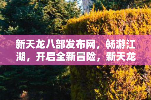新天龙八部发布网,畅游江湖,开启全新冒险,新天龙八部发布网,畅游江湖,开启全新冒险 新天龙八部发布网,畅游江湖,开启全新冒险,新天龙八部发布网,畅游江湖,开启全新冒险