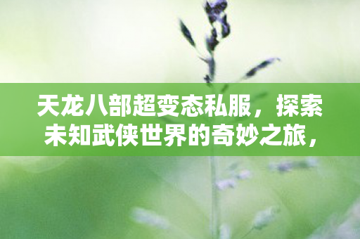 天龙八部超变态私服,探索未知武侠世界的奇妙之旅,天龙八部超变态私服,开启武侠世界的奇妙探险之旅 天龙八部超变态私服,探索未知武侠世界的奇妙之旅,天龙八部超变态私服,开启武侠世界的奇妙探险之旅