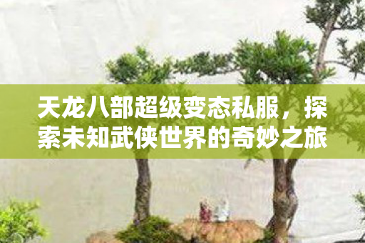 天龙八部超级变态私服,探索未知武侠世界的奇妙之旅,天龙八部超级变态私服,开启未知武侠世界的奇妙探险之旅 天龙八部超级变态私服,探索未知武侠世界的奇妙之旅,天龙八部超级变态私服,开启未知武侠世界的奇妙探险之旅