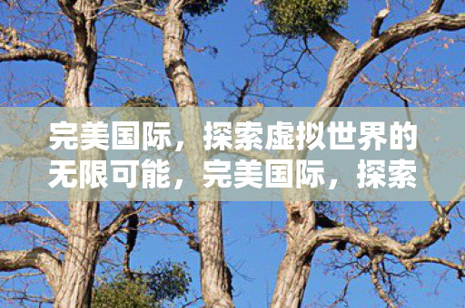 探索虚拟世界的无限可能图片