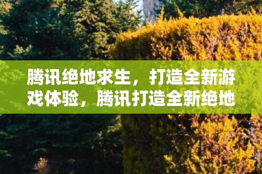 腾讯绝地求生,打造全新游戏体验,腾讯打造全新绝地求生游戏体验 腾讯绝地求生,打造全新游戏体验,腾讯打造全新绝地求生游戏体验