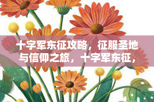 十字军东征攻略，征服圣地与信仰之旅，十字军东征，征服圣地与信仰之旅的攻略