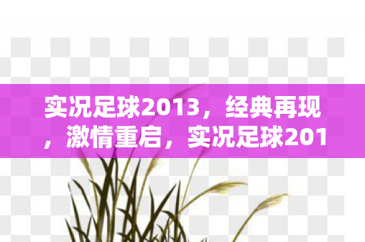 实况足球2013，经典再现，激情重启，实况足球2013激情重启