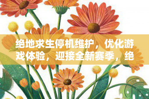 绝地求生停机维护，优化游戏体验，迎接全新赛季，绝地求生停机维护，优化游戏体验，迎接全新赛季