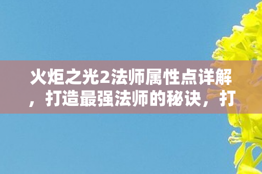 火炬之光2法师属性点详解，打造最强法师的秘诀，打造最强法师，火炬之光2法师属性点详解