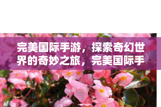 完美国际手游,探索奇幻世界的奇妙之旅,完美国际手游,奇幻世界的奇妙探险之旅 完美国际手游,探索奇幻世界的奇妙之旅,完美国际手游,奇幻世界的奇妙探险之旅