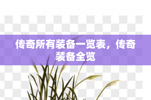 传奇所有装备一览表图片