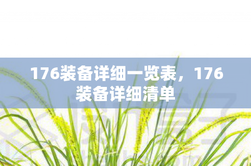 176装备详细一览表图片