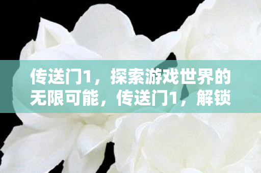 传送门1,探索游戏世界的无限可能,传送门1,解锁游戏世界的无限奥秘 传送门1,探索游戏世界的无限可能,传送门1,解锁游戏世界的无限奥秘