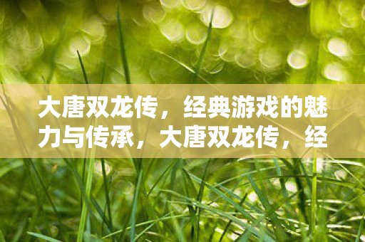 大唐双龙传，经典游戏的魅力与传承，大唐双龙传，经典游戏的魅力与传承