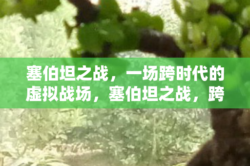 塞伯坦之战，一场跨时代的虚拟战场，塞伯坦之战，跨时代的虚拟战场