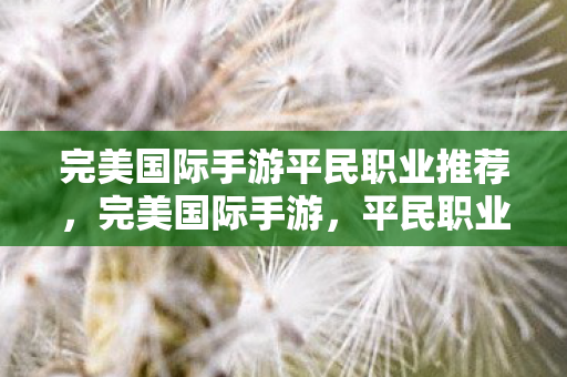 完美国际手游平民职业推荐图片