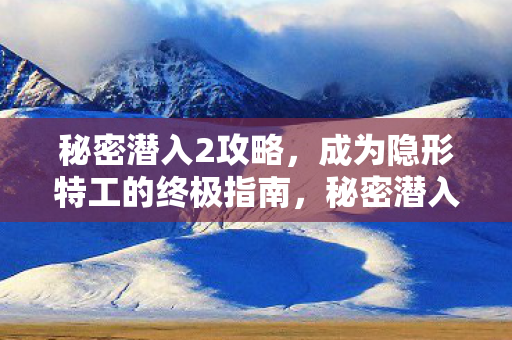 成为隐形特工的终极指南图片